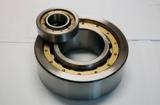 cylindrical roller bearing